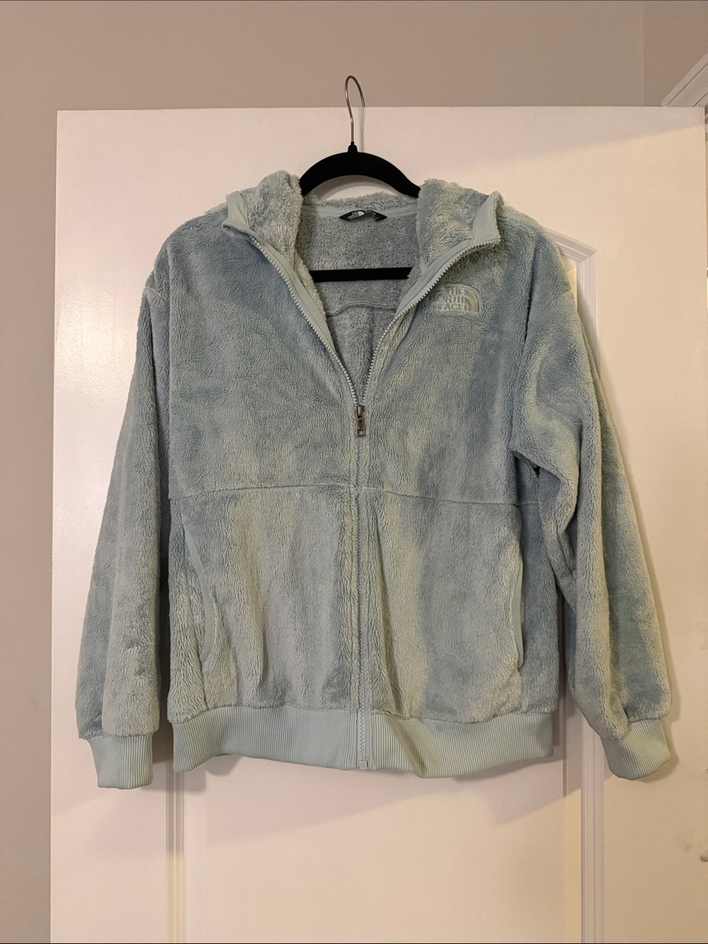 The North Face Kids Light Mint Plush Hooded Zip Jacket